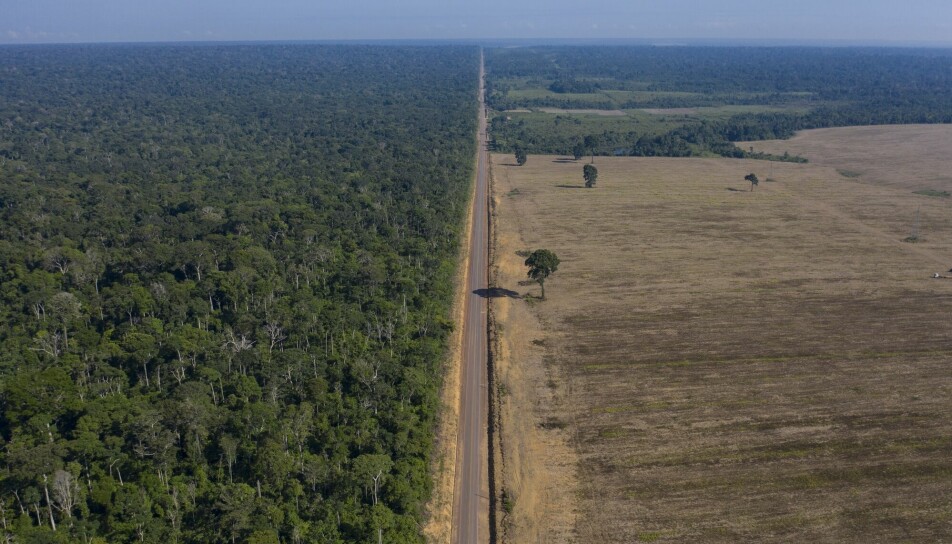 Regnskogen i Brasil er stadig utsatt for hogst og menneskelig aktivitet. Her ligger et soyafelt tett inntil Tapajos National Forest i Belterra, Para-staten.