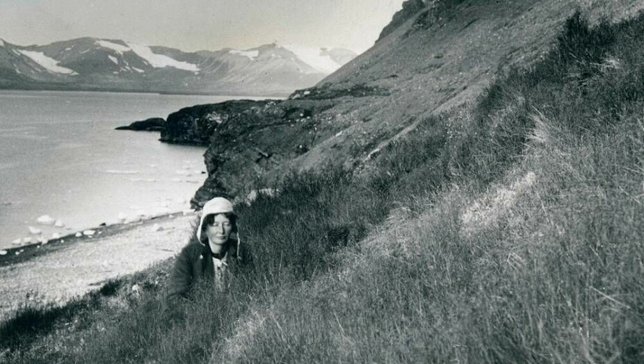 Botanikeren under feltarbeid på Svalbard.