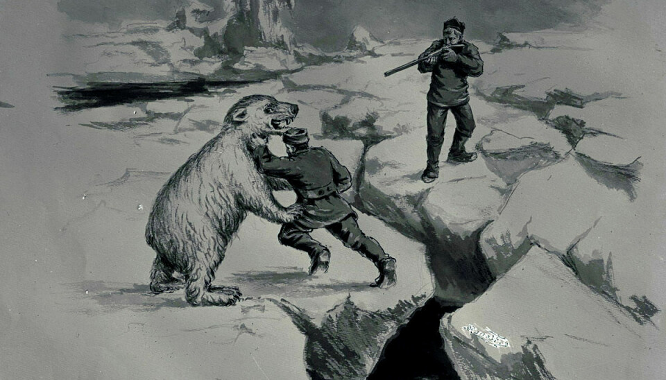 Polarheltene Hjalmar Johansen sloss med isbjørn. Fridtjof Nansen sikter med gevær.