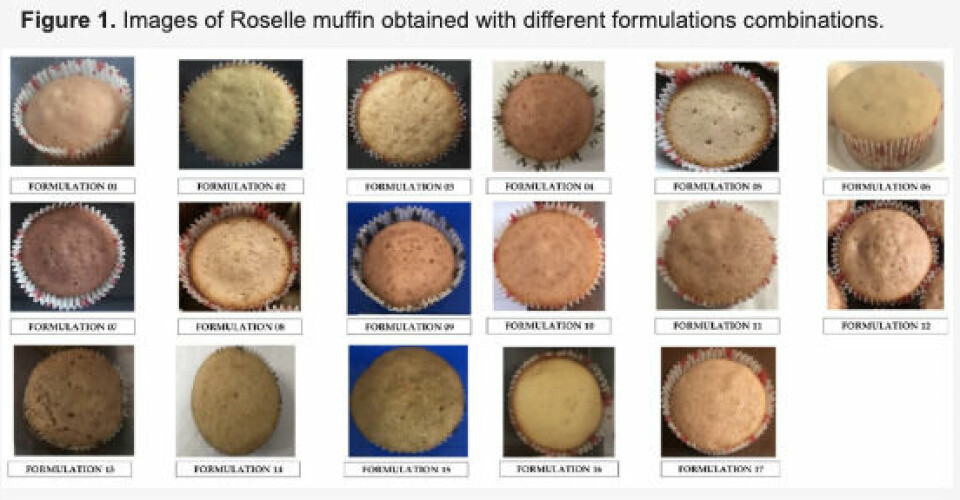 I muffins-studien testet 30 personer i alt 17 oppskrifts-varianter.