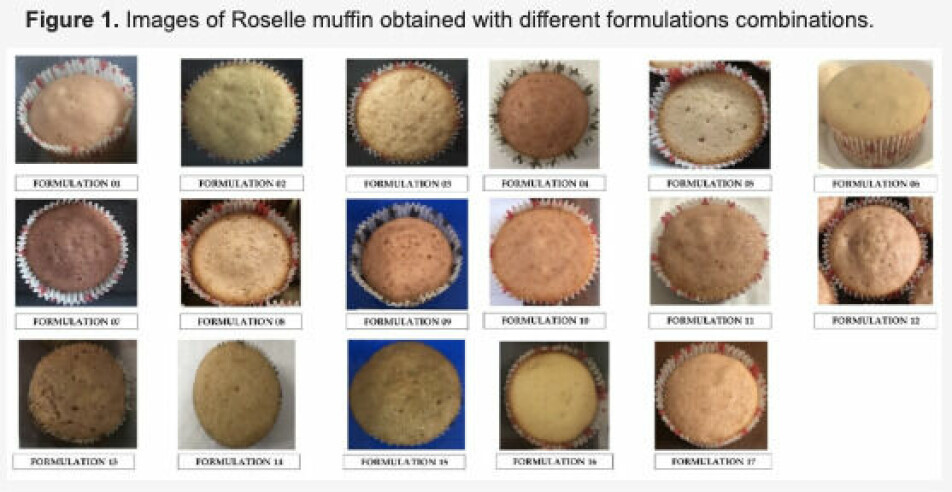 Here’s a look at the different formulations that researchers tested.