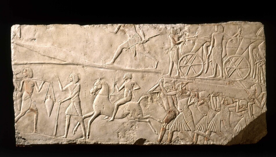 Relieff fra Egypt som viser en rytter. Bilder fra bronsealderen viser ryttere som rir barbakk i såkalt stolsits, med beina fram. Det kan se ut til at folk satt mye lenger bak på hesteryggen på denne tiden enn i dag.