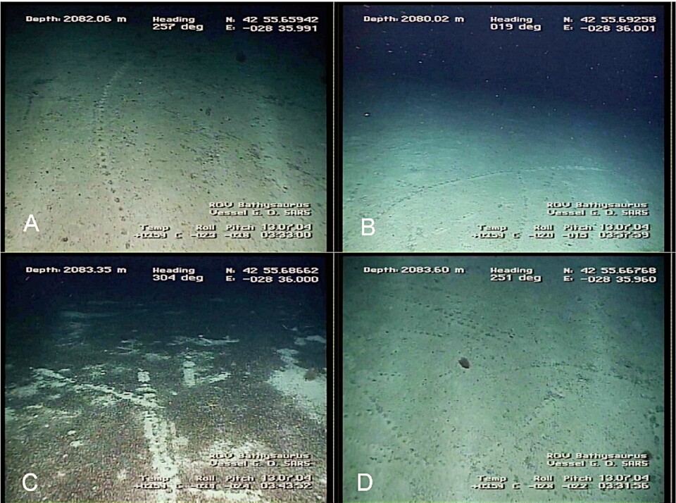 Flere bilder som ble tatt av sporene i dyphavet. Legg merke til hvor regelmessige de er.