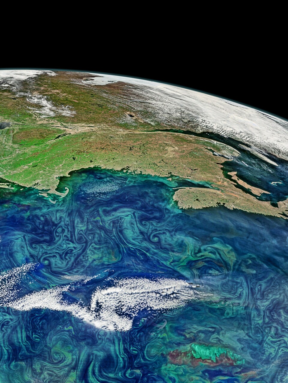 Planteplankton-oppblomstringer kan noen ganger ses fra verdensrommet.