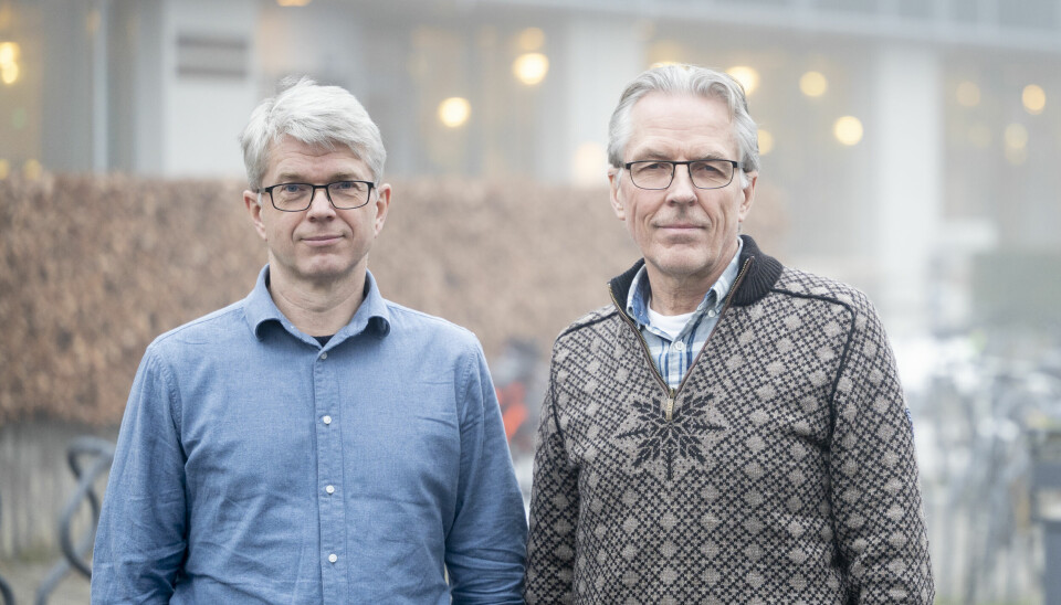 NMBU-professorene Olav Høibø og Geir Vestøl.
