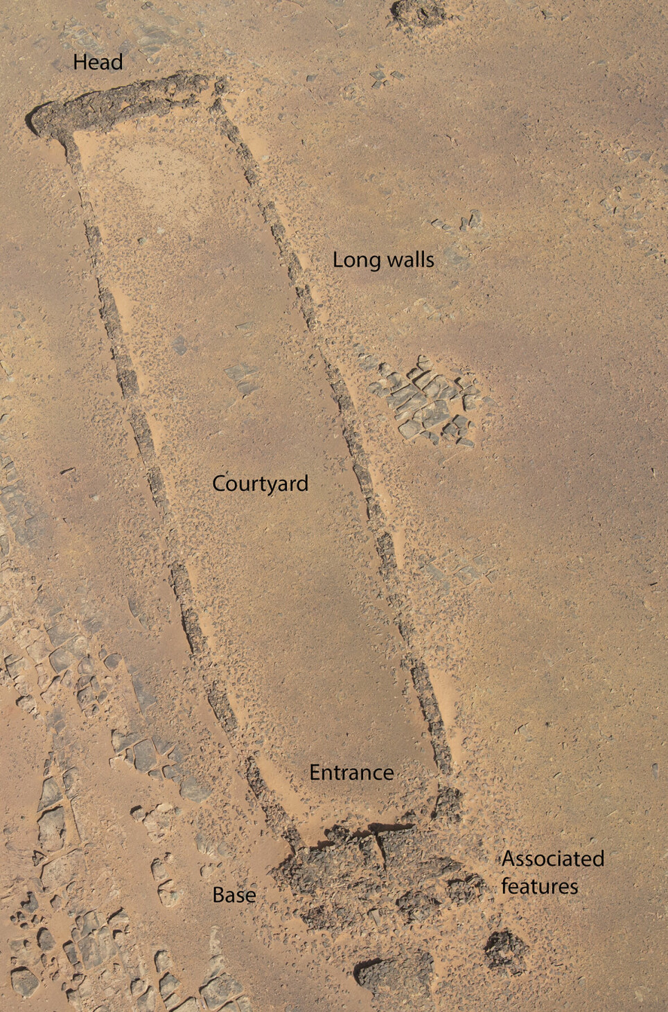 Oversiktbilde over en mustatil. Denne er flere hundre meter lang, men det er et eksempel, ikke den som ble gravd ut av arkeologene.