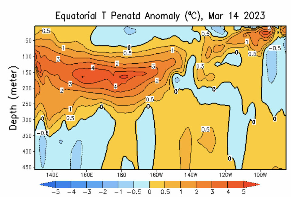 En kelvin-bølge har nådd fram til kysten av Sør-Amerika, og den neste passerer nå datolinjen. Trolig vil det danne seg en El Ninjo. (Bilde: NOAA).