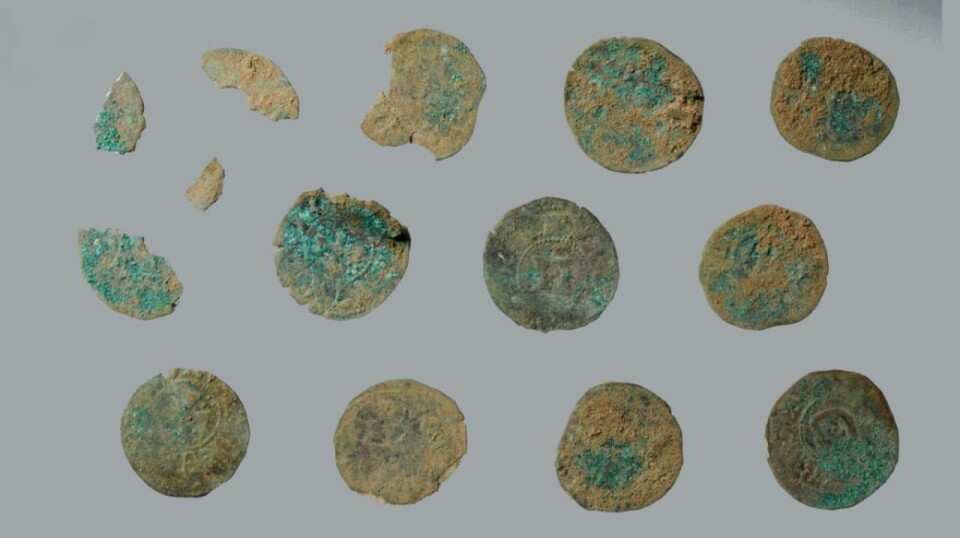 Ofte er det mynter som dukker opp når noen finner skatter fra 1200-tallet. Her er et utvalg av de 30 danske myntene fra kong Valdemar IIs tid som ble funnet som en del av skatten.