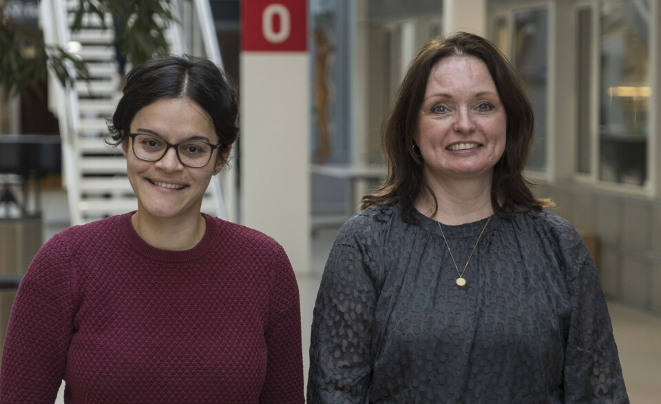Spesialpedagog og forsker Janaina Hartveit Lie og Kjersti Utnes Borgaas, seksjonssjef i Barnehage- og utdanningsavdelingen hos Statsforvalteren i Oslo og Viken.