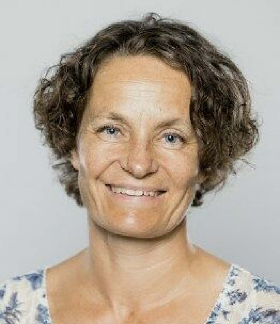 Line Nybakken er professor i skogøkologi på Norges miljø- og biovitenskapelige universitet i Ås.