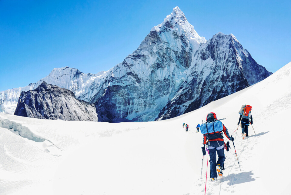 Mount Everest er et ganske øde sted, bortsett fra mennesker på ekspedisjon. Men det finnes annet spor av liv der.