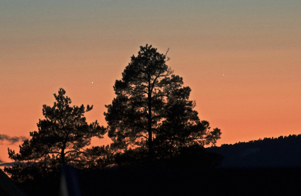 Jupiter og Merkur, fotografert med en telelinse i går kveld, omtrent 40 minutter etter solnedgang. Det er omtrent slik man vil kunne se de to planetene gjennom en kikkert, sier Håkon Dahle.