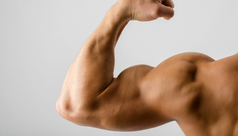 I puberteten begynner gutter å få større muskler.