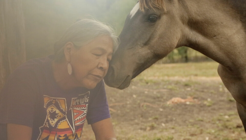 En eldre Cherokee-kvinne og en av hestene hennes.