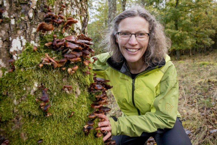Anne Sverdrup-Thygeson har selv skrevet flere populærvitenskapelige bøker om naturen.