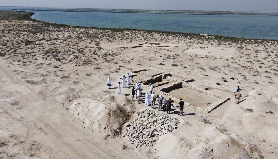Dette bildet tatt av en drone viser ruiner på Siniyah-øya i Umm al-Quwain, De forente arabiske emirater. Arkeologer opplyste nylig at de har funnet den eldste perlebyen i Persiabukta. Funnet utvider denne unge nasjonens forståelse av sin førislamske historie.