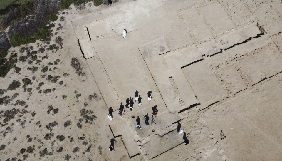 Dette bildet tatt av en drone viser ruiner på Siniyah-øya i Umm al-Quwain, De forente arabiske emirater. Ruinene stammer fra den eldste perlebyen som er funnet.