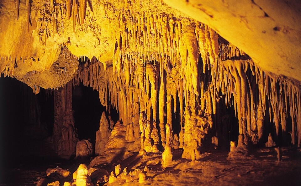 Es Càrritx-hulen strekker seg langt innover i fjellet. Her er en av hallene inne i grotten.