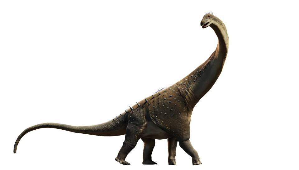 Titanosaurusen var dinosauren det var mest av i India for 67 millioner år siden. Egget kan stamme fra en slik.