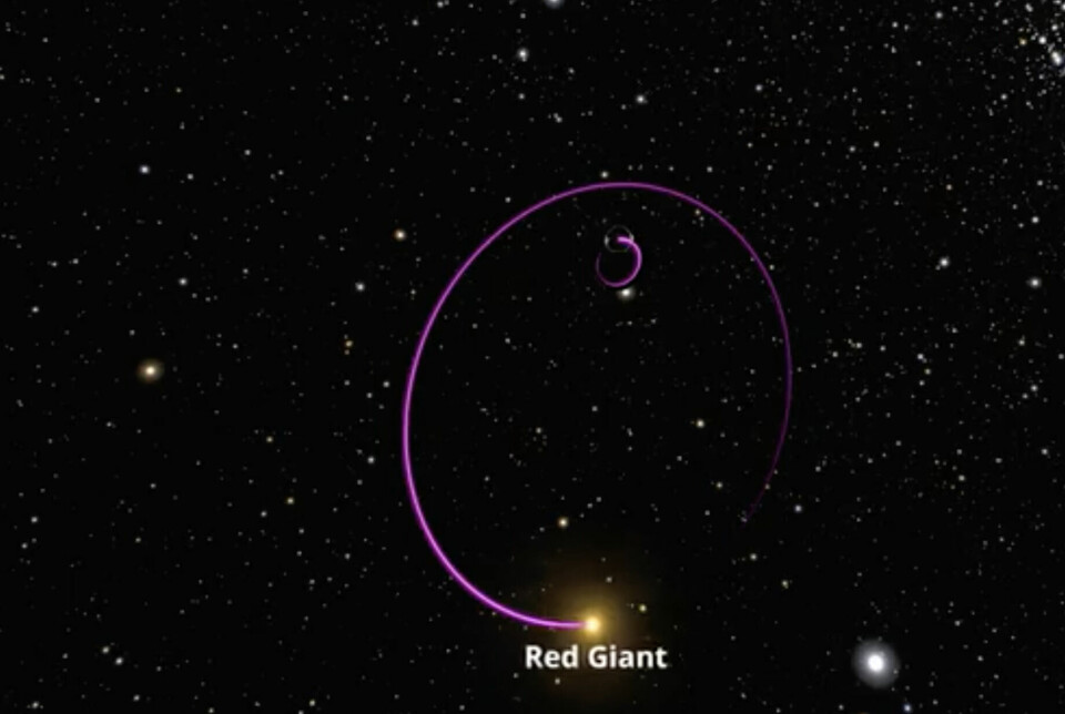 Gaia BH2, der en rød kjempestjerne går i 'trygg' avstand rundt et 'sovende' sort hull.