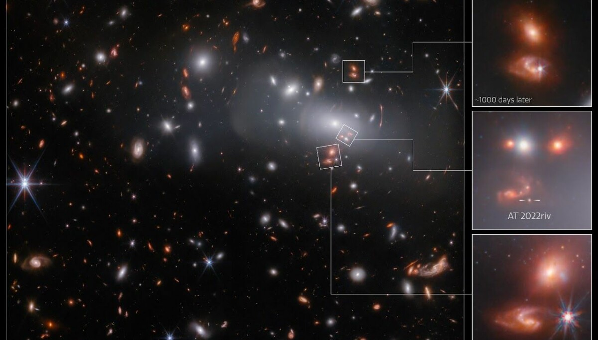 Questo è un tipo di galassia che gli scienziati delle galassie non hanno mai visto prima
