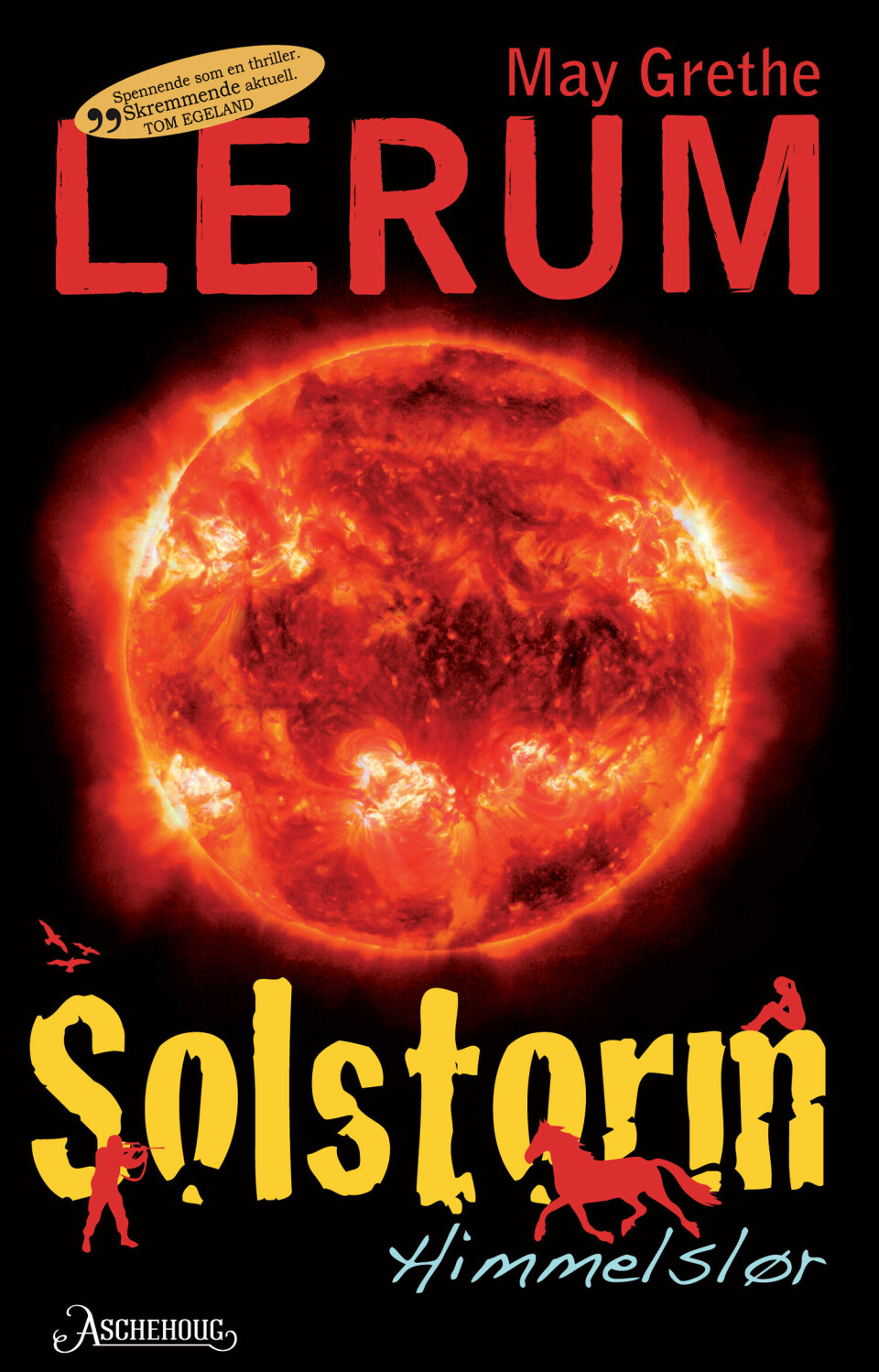 I «Solstorm»-bøkene beskriver May Grethe Lerum hva som skjer når butikker, banker, sykehus, fengsler og mobiltelefoner slutter å virke. Den første boken, «Himmelslør», ble nominert til Uprisen i 2012.