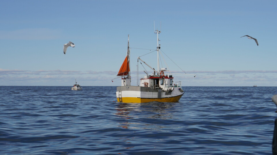Whether or not Norwegian cod retains its MSC certification has little impact on price. Scientists at Nofima and the Norwegian College of Fishery Science can confirm this.