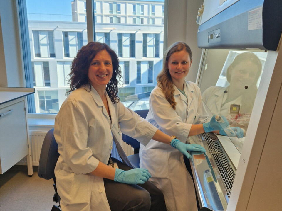 Project participants: Camilla Wolowczyk (right) is a post-doc student working with phagocyte targeting, pictured here with research scientist Miriam Giambelluca from NTNU.