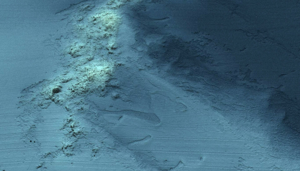 Steinurer på omtrent 50 meters dyp – dette er rester av en morenerygg dannet under siste istid.