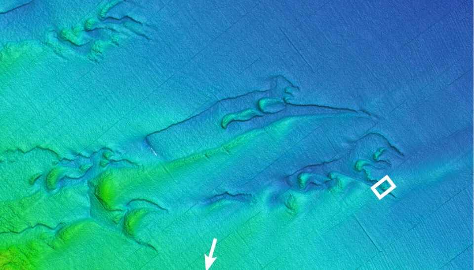 Forsenkninger hvor topplaget av sand er erodert bort på grunn av sterke bunnstrømmer. Vi ser også trålspor (piler). Den lille firkanten viser hvor sonarbildet i neste figur er lokalisert.