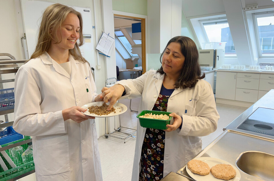 Together with Nofima's sensory panel, sensory scientist Solveig Nersten and senior scientist Paula Varela-Tomasco have mapped the sensory properties of vegetarian products on the Norwegian market.