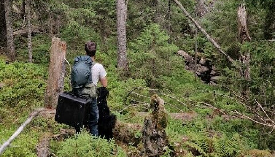 Eivind Handegard med hund i skogen.