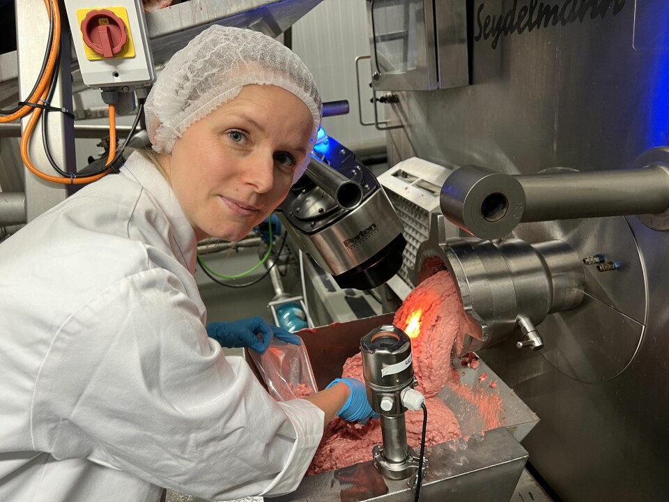 An NIR scanner measures, among other things, the distribution of fat, proteins, and bone in the mixture that is constantly flowing past. Here, senior engineer Katinka Dankel is pictured by the NIR sensor, installed just behind the grinder that grinds the rest raw materials into a mince.