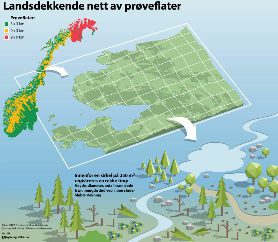 Landsskogtakseringen kartlegger utvalgte arealer og skogressurser i hele Norge.