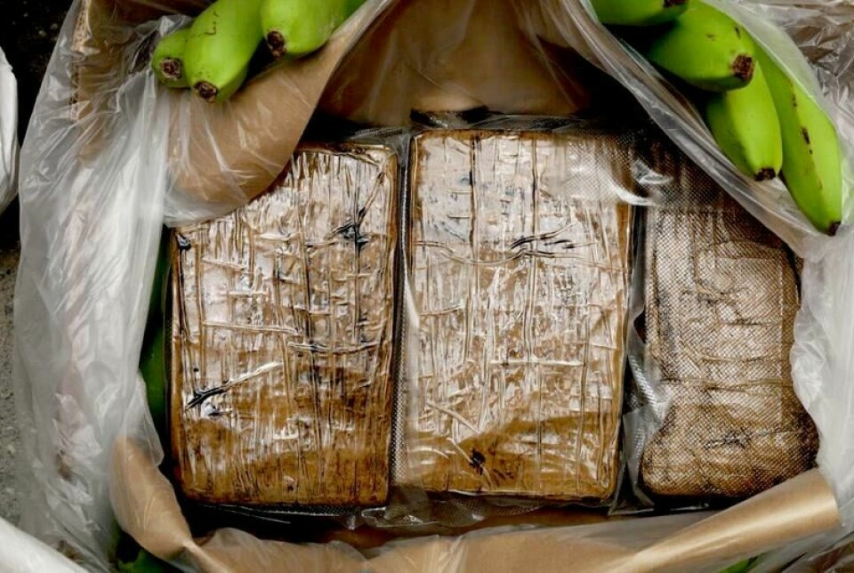 13. april i år ble det kjent at Tolletaten hadde beslaglagt 800 kilo kokain i banankasser hos fruktimportøren Bama. Hele 50 av de 1.200 kassene fra Ecuador inneholdt kokain. Det er tidenes største kokainbeslag i Norge. Men til sammenligning ble det i havnene i Antwerpen i Belgia og Rotterdam i Nederland beslaglagt henholdsvis 90 og 70 tonn kokain bare i 2021, ifølge FNs narkotikaorgan, UNODC.