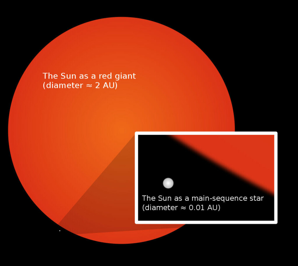 Dette er en sammenligning mellom hvordan solen kommer til å se ut om flere milliarder år når den er helt est ut og hvordan den er i dag - den lille hvite flekken.