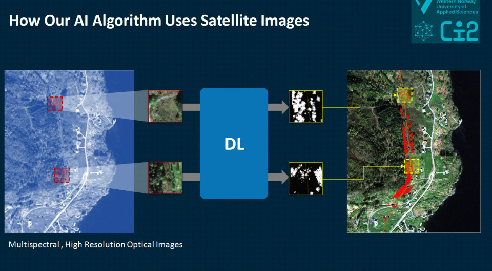 Forskerne bruker satellittdata og kunstig intelligens for å lage risikokart over strømnettet og vegetasjonen rundt.