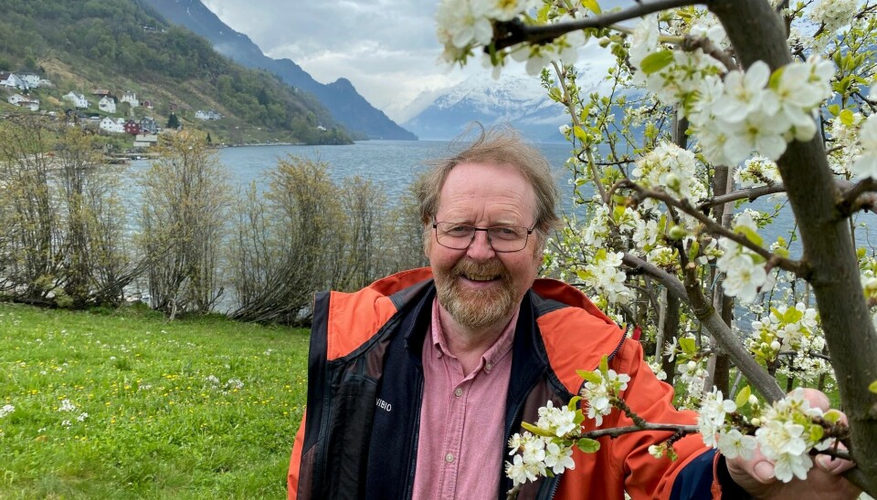 I tretti år har seniorforskar Mekjell Meland gjort nøyaktige fenologiske registreringar av fruktblomstrane i Hardanger.
