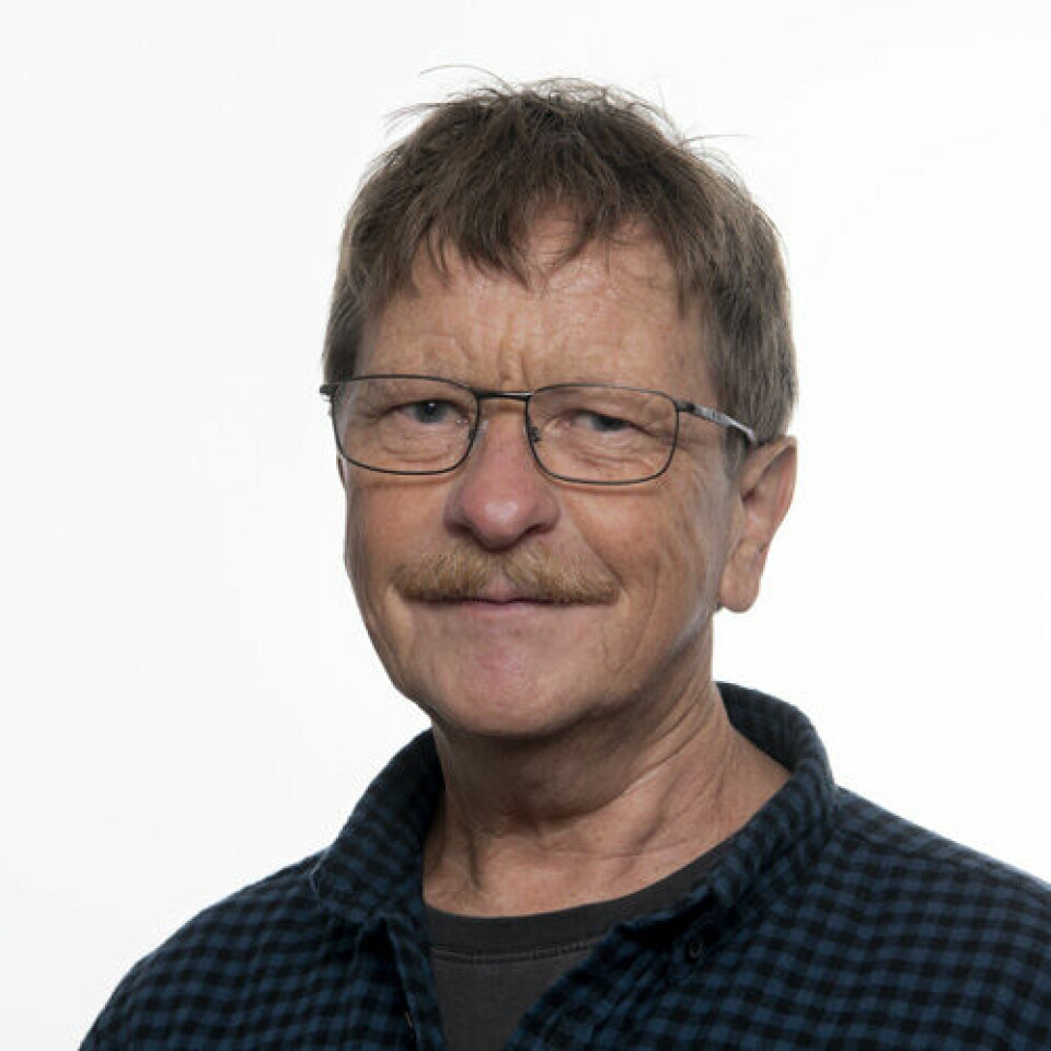 Seniorforsker Jan Thomas Rosnes mener tørking er en god metode for å ta vare på mat. Han jobber ved matforskningsinstituttet Nofima.