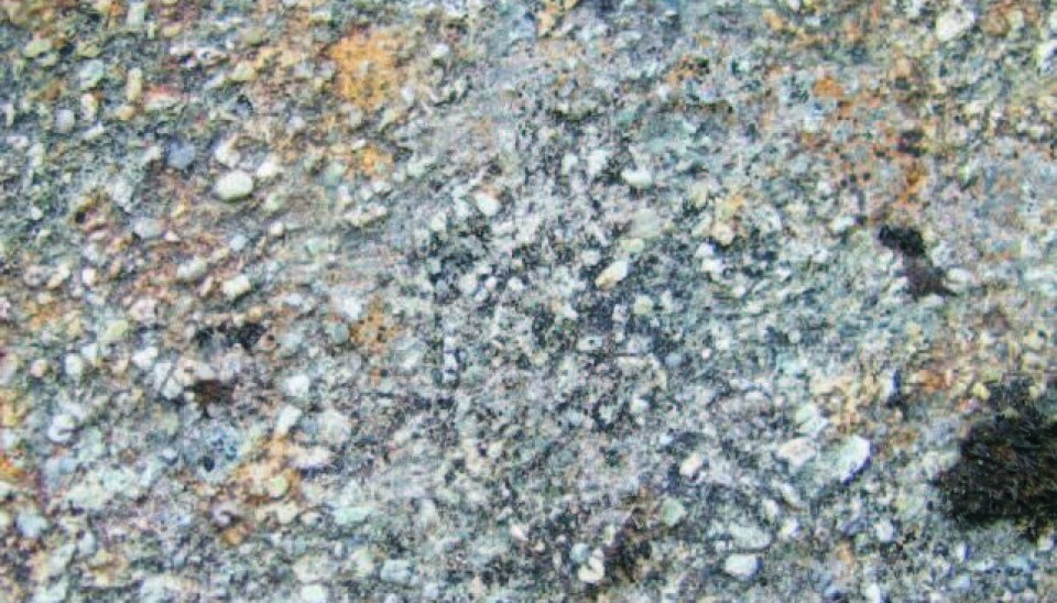 Sandsteinen hvor Norges eldste sandkorn ble funnet. De små sandkornene blir analysert med laser ved NGUs laboratorier.