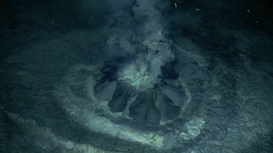 Scientists have discovered a new volcano inthe Barents Sea.