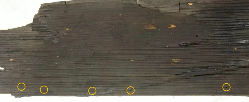 De gule sirklene i skjoldet viser hullene som trolig er fester til skinnbekledning eller en reparasjon.