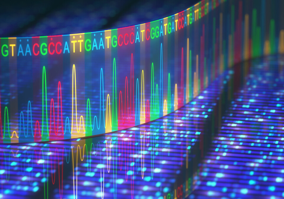 Pan-genomet er en slags felles genkode på tvers av alle mennesker – fra Afrika og Asia til Amerika og Europa.