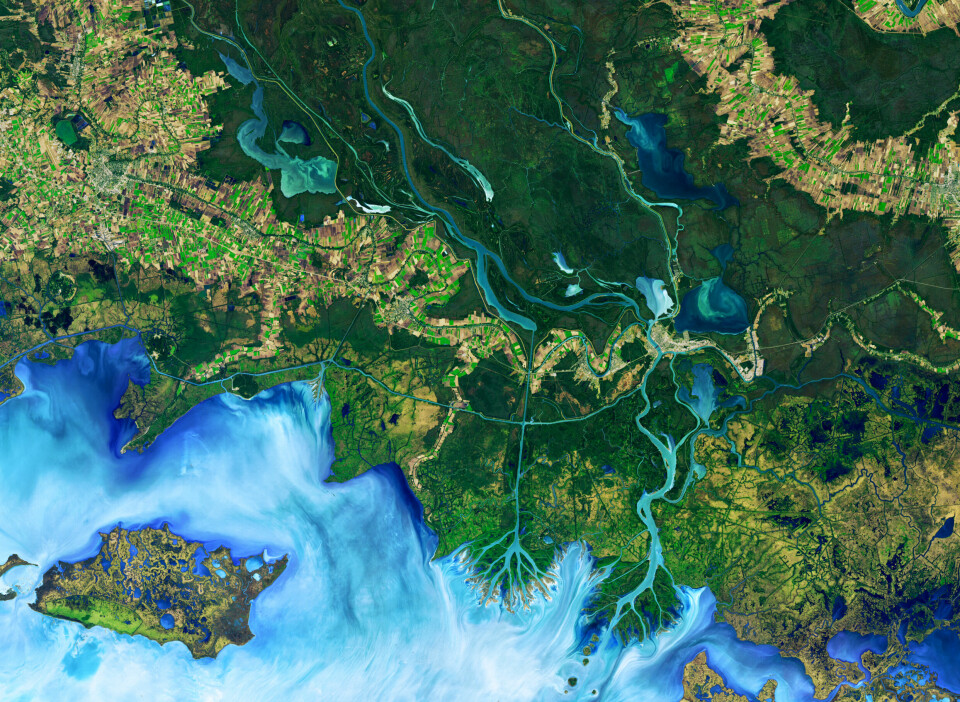 Bildet viser Atchafalaya deltaet i USA og er tatt med Landsat 8. Fargene er modifisert.