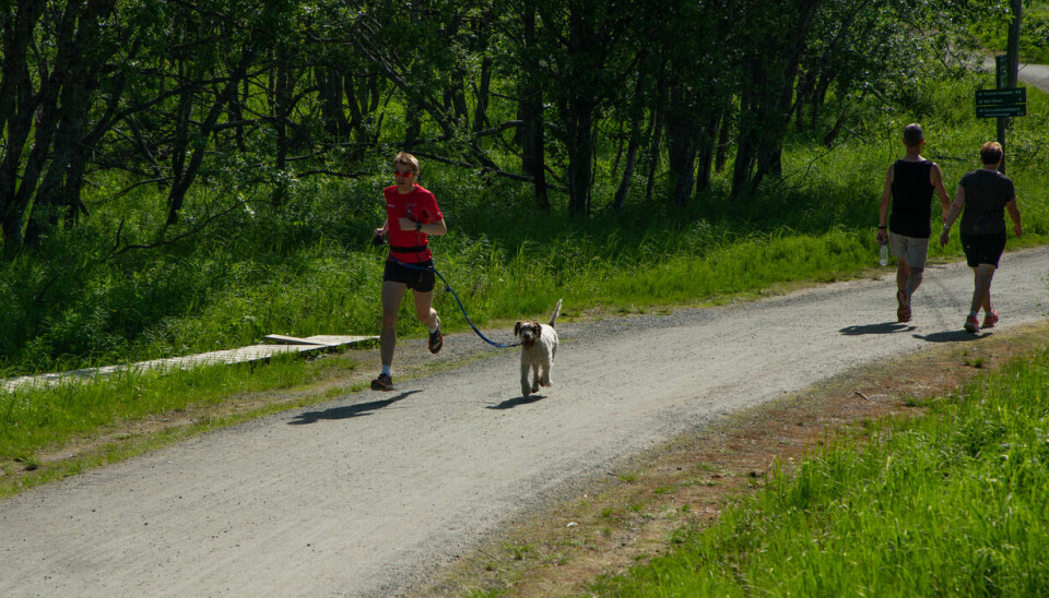 Mann løper på sti med hund i bånd.