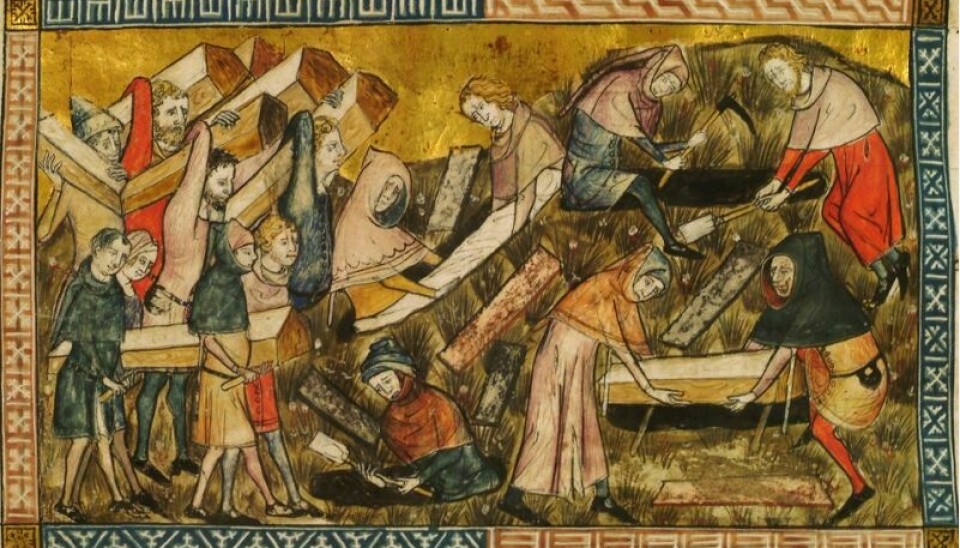 Maleri fra middelalderen som viser ofre for svartedauden på 1300-tallet i Tournai i dagens Belgia.