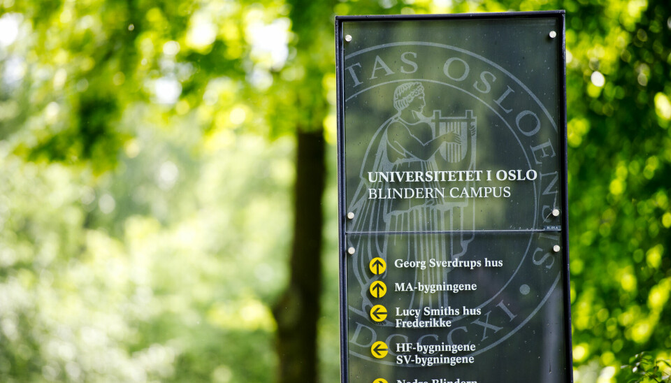 42 prosent av masterstudentene ved Universitetet i Oslo utsetter masteroppgaven.