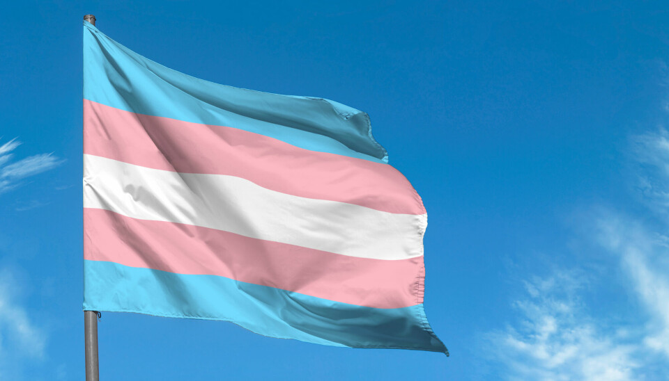 Dette er transflagget. Det blå representer gutter, det rosa jenter, og det hvite representer de som bryter kjønnsnormen, er i en overgang eller er ikke-binære.