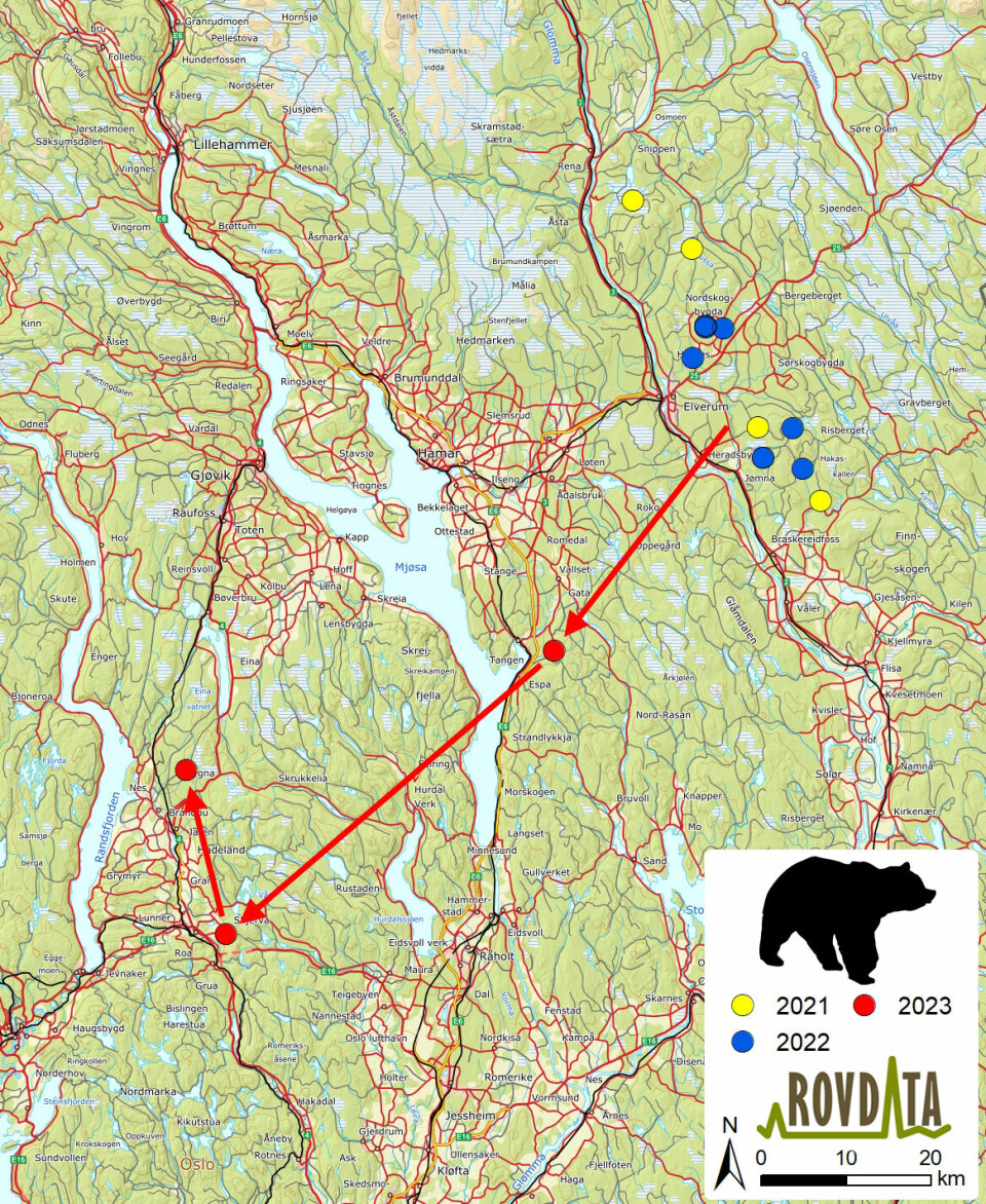 Kartet viser stedene der hannbjørnen HE258 er påvist på DNA. De røde pilene indikerer bevegelsesretningen basert på dato for når de ulike prøvene ble samlet inn.