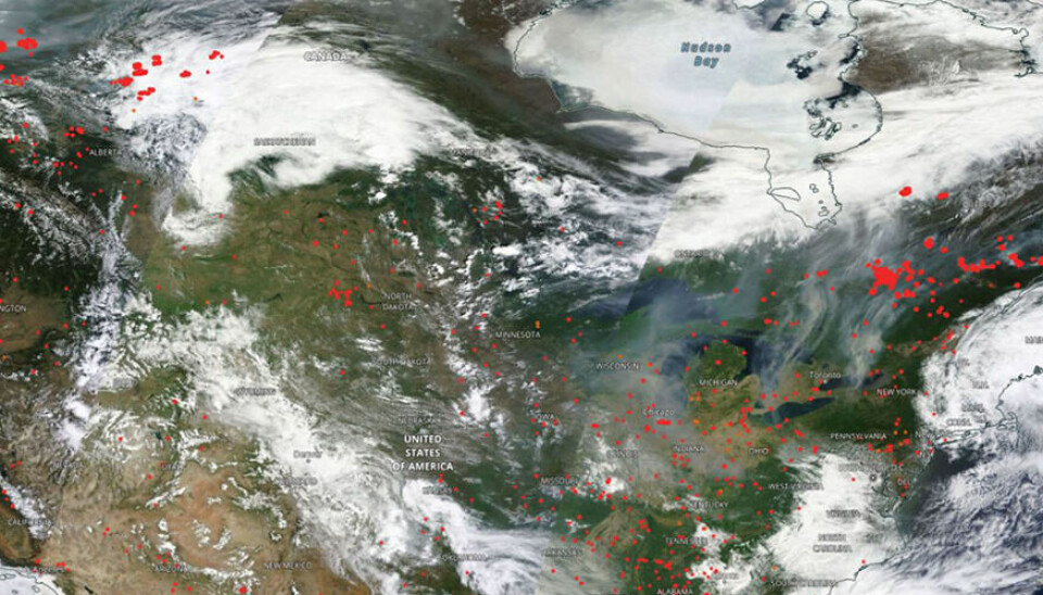 The raging wildfires in Canada have made their presence known across the entire globe.